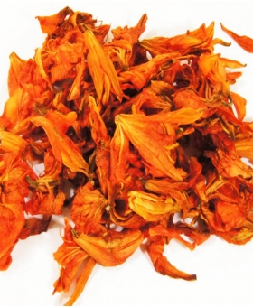 LILIA KWIAT LILII-LILLY FLOWER 1 KG